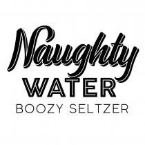 Naughty Water Boozy Seltzer