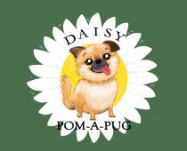 DAISY POM-A-PUG