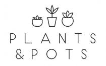 PLANTS&POTS