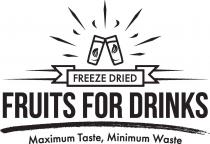 Freeze Dried Fruits for Drinks Maximum Taste Minimum Waste