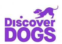 Discover DOGS