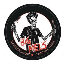 BIG MELS BARBERSHOP CARMARTHEN