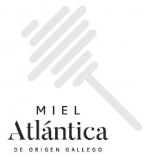 MIEL ATLANTICA DE ORIGEN GALLEGO