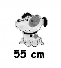 55 cm