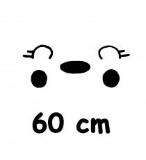 60 cm