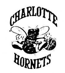 CHARLOTTE HORNETS