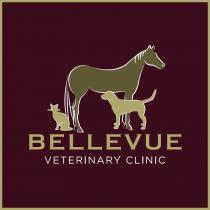 BELLEVUE VETERINARY CLINIC