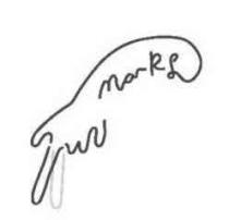 MARKS