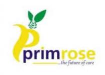 P PRIMROSE THE FUTURE OF CARE