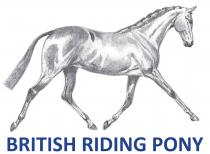 BRITISH RIDING PONY