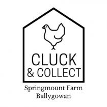 CLUCK & COLLECT SPRINGMOUNT FARM BALLYGOWAN