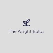 THE WRIGHT BULBS