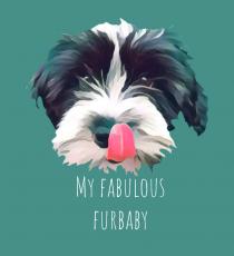 MY FABULOUS FURBABY