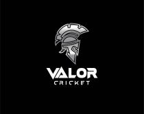 VALOR CRICKET