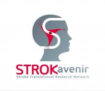 STROKAVENIR STROKE TRANSLATIONAL RESEARCH NETWORK