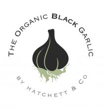 The Organic Black Garlic by Hatchett & Co