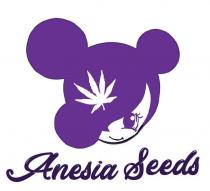 ANESIA SEEDS