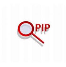 QPIP