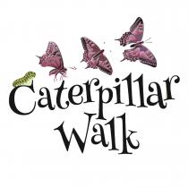 CATERPILLAR WALK