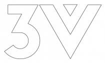 3V