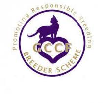 GCCF BREEDER SCHEME Promoting Responsible Breeding