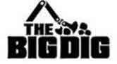 THE BIG DIG