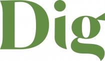 Dig