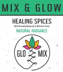 MIX & GLOW HEALING SPICES Nutritionally Balanced & Nutrient Dense NATURAL RADIANCE GLO MIX