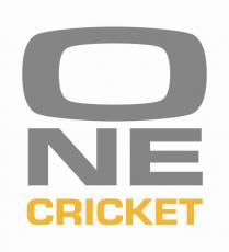 One Cricket