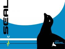 SEAL LEAK SEAL