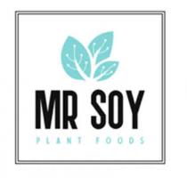 MR SOY PLANT FOODS