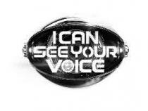 I CAN SEE YOUR VOICE