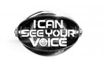 I CAN SEE YOUR VOICE