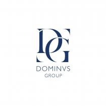 DG DOMINVS GROUP