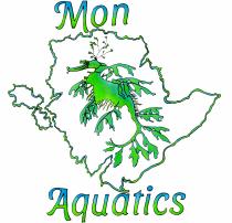 Mon Aquatics