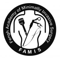 FENGH ACADEMY OF MINIMALLY INVASIVE SURGERY FAMIS