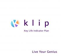 klip Key Life Indicator Plan Live Your Genius