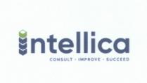 Intellica CONSULT IMPROVE SUCCEED