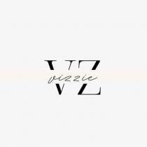 vizzie VZ