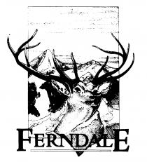 FERNDALE