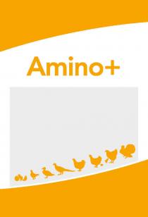 AMINO+