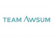 TEAM AWSUM