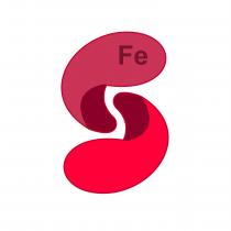 FE