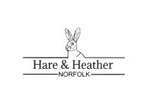 HARE & HEATHER NORFOLK