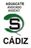 AGUACATE AVOCADO AVOCAT QS CADIZ