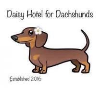 DAISY HOTEL FOR DACHSHUNDS ESTABLISHED 2016