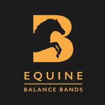 EQUINE BALANCE BANDS