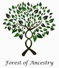 FOREST OF ANCESTRY