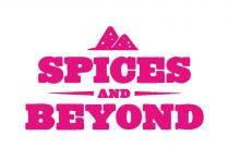 SPICES AND BEYOND