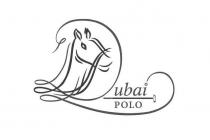 DUBAI POLO